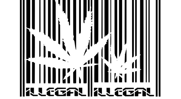 1965 - New Zealand Passes the Narcotics Act 1965 - Cannabis Prohibited