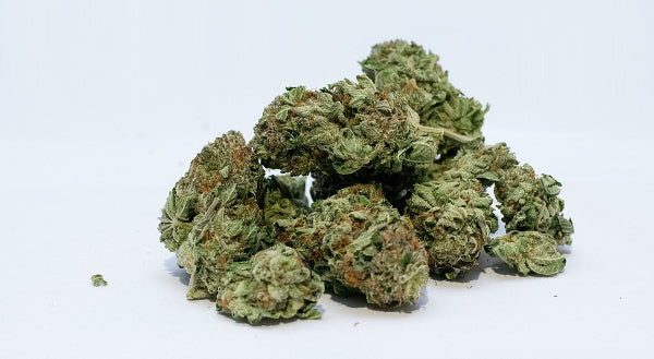 New medicinal cannabis company to create 100 jobs in Taupō