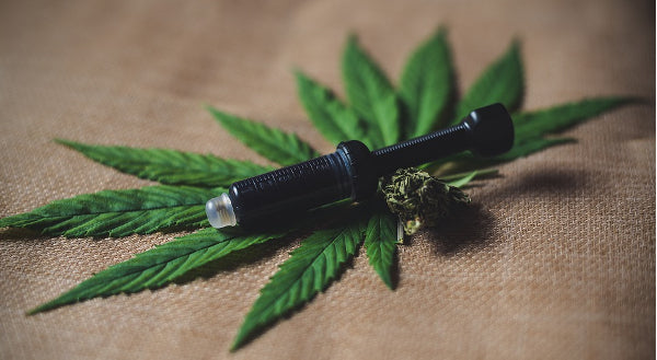 Major Cannabis player Hikurangi rebrands