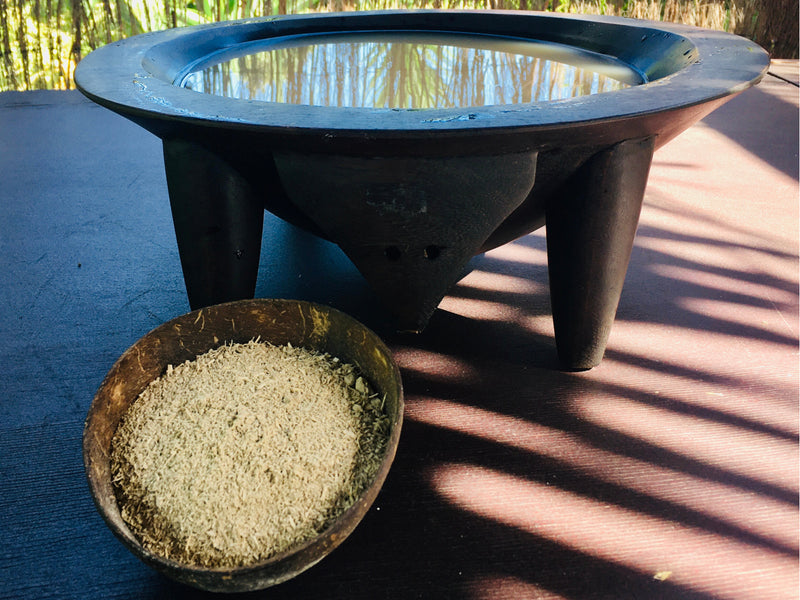 Study Probing Kava as Trauma Treatment for PTSD Shows Promise