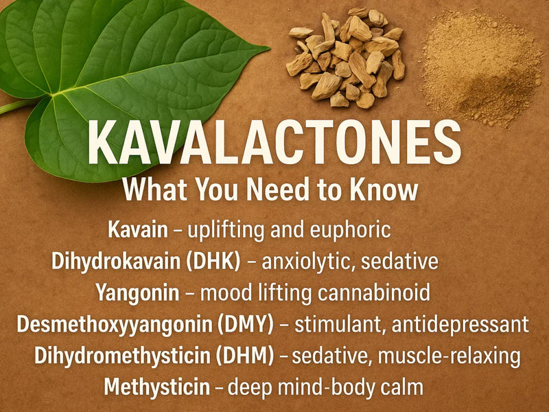 Kavalactones: What You Need to Know