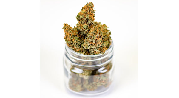 Kiwi company poised to become NZX's first listed medical cannabis play