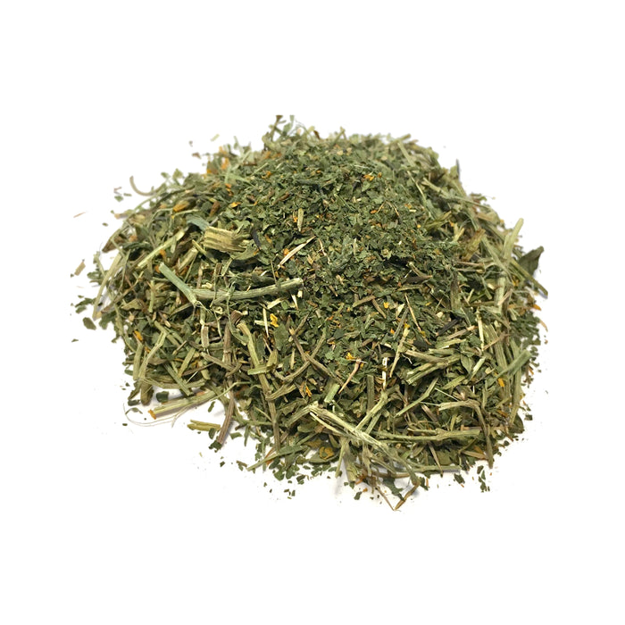 Cloud Herb (Tagetes lucida) Mexican Tarragon