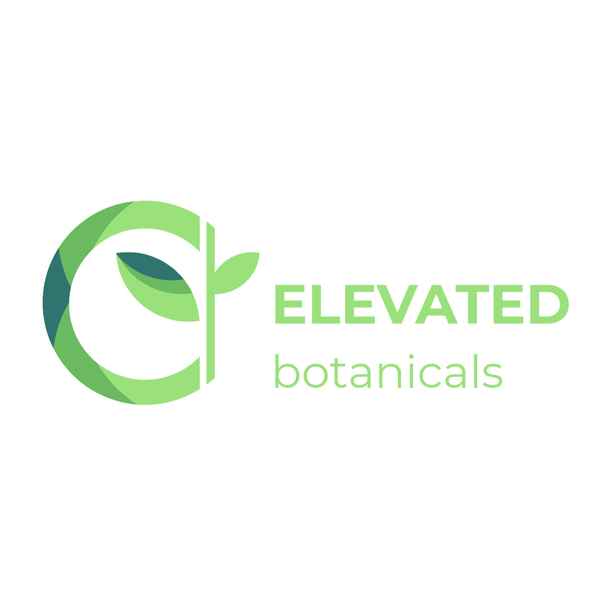 Sweet Flag - Calamus Root (Acorus calamus) powder or organic root chips