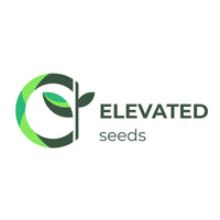 Tobacco Seeds - Organic (Nicotiana tobacum) Grow Your Own Organic Virginia Smoking Tobacco