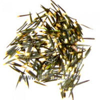 Cloud Herb Seeds (Tagetes lucida) Mexican Tarragon, Pericon, Yahautli, Tzitziqui