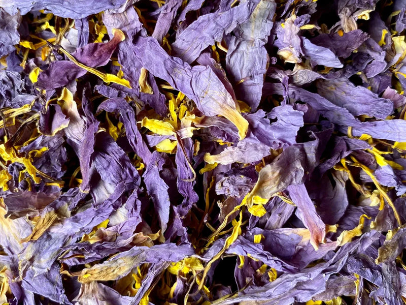 Herb of the Month (May) Blue Lotus - 15% off - Free Samples