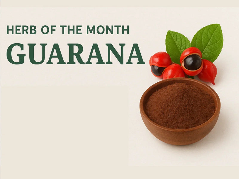 Herb of the Month (September) Guarana