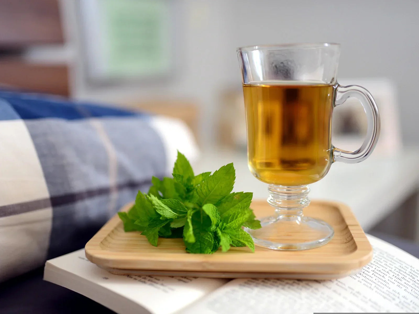 Herb of the Month (October) Peppermint