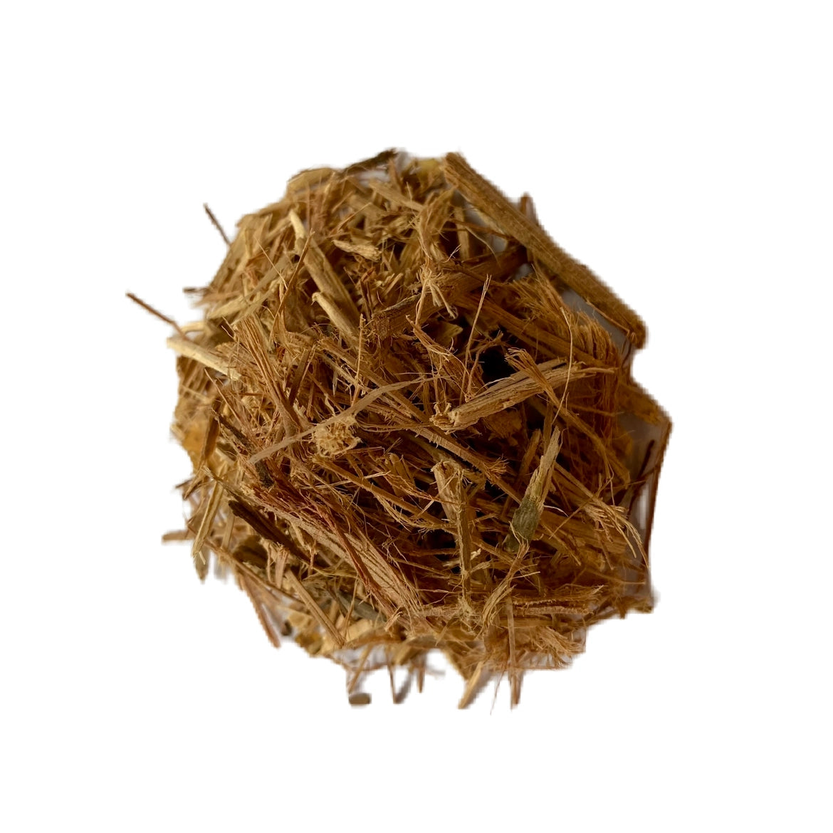 Clavo Huasca (Tynanthus panurensis)