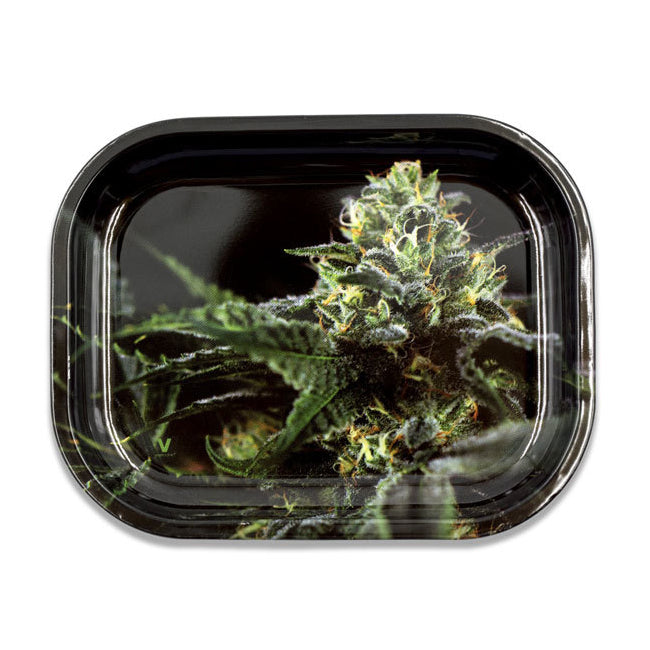 Metal Rolling Tray - OG Kush