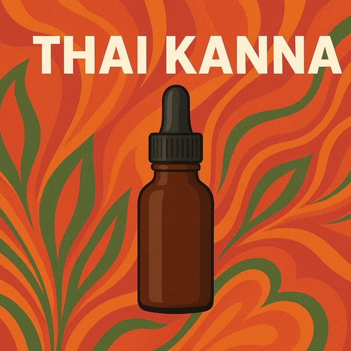 Kanna Tincture - Thai (Sceletium tortuosum) 30ml