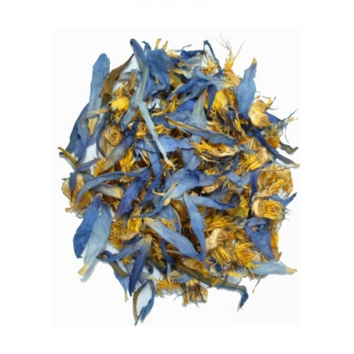 Blue Lotus (Nymphaea caerulea) Organic Shredded Flowers