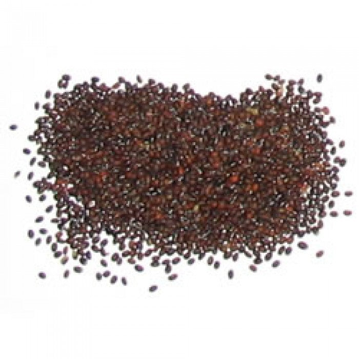Catnip Seeds (Nepeta cataria)