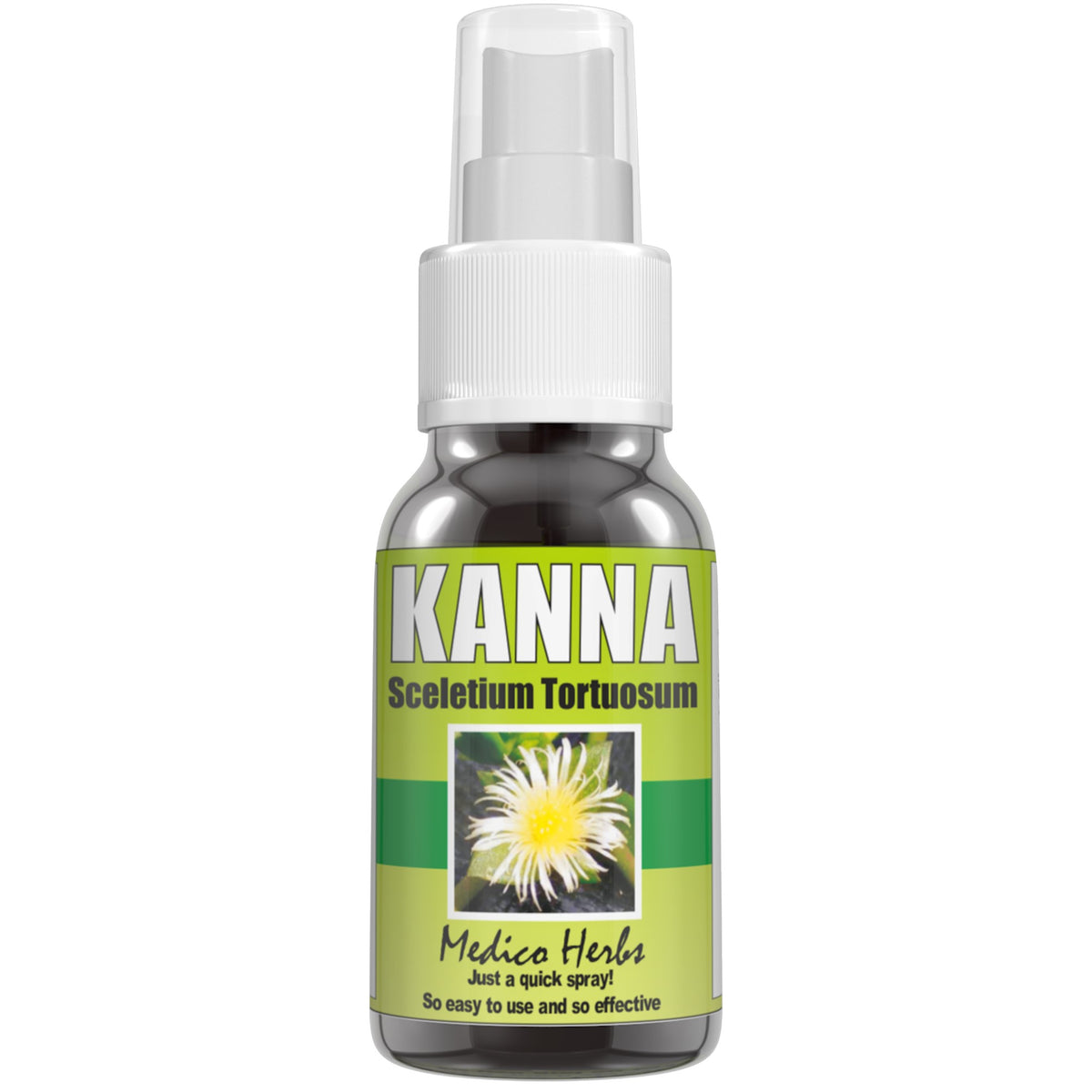 Kanna Spray (50ml) (Sceletium Tortuosum) Medico Herbs