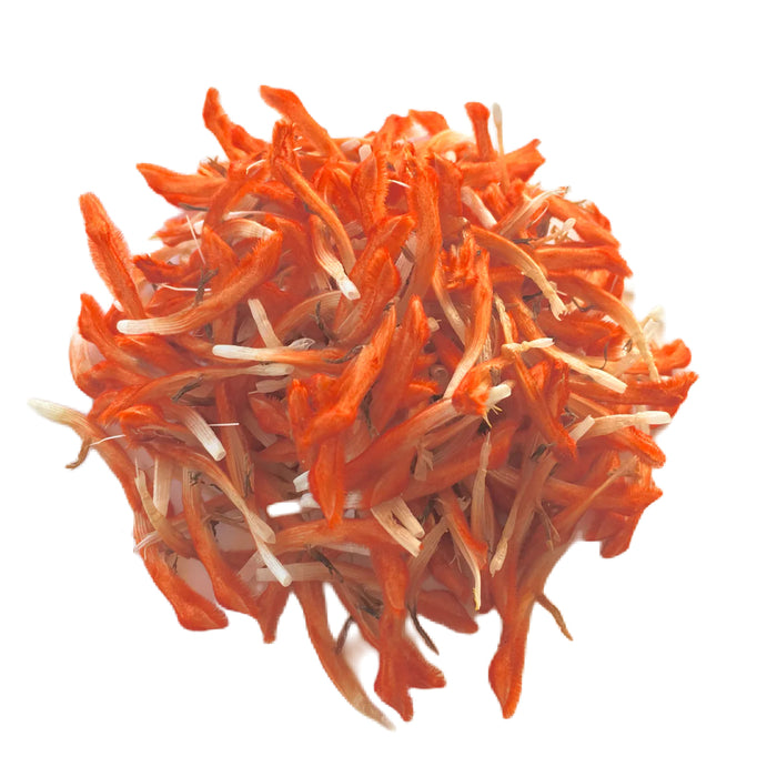 Klip Dagga Petals (Leonotis nepetifolia) Organic Lion's Ear Flower Petals