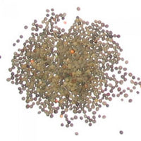 Poppy Seeds - California Poppy (Eschscholzia californica)